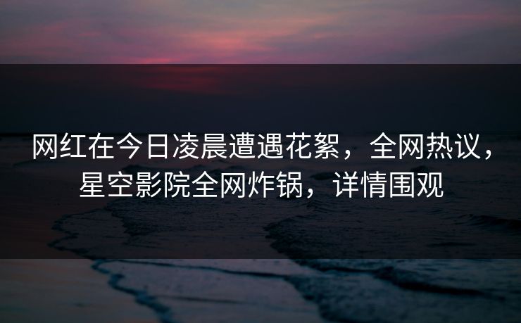 网红在今日凌晨遭遇花絮，全网热议，星空影院全网炸锅，详情围观