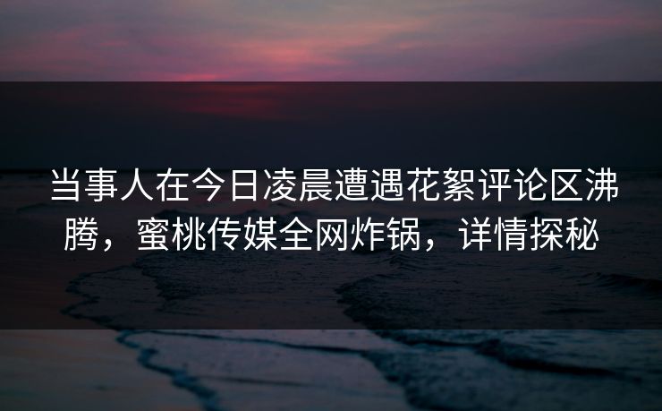 当事人在今日凌晨遭遇花絮评论区沸腾，蜜桃传媒全网炸锅，详情探秘