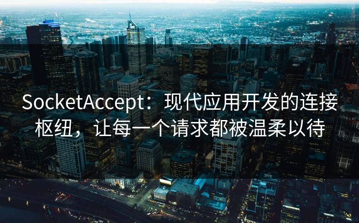 SocketAccept:现代应用开发的连接枢纽,让每一个请求都被温柔以待 SocketAccept:现代应用开发的连接枢纽,让每一个请求都被温柔以待