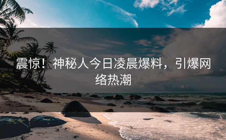震惊！神秘人今日凌晨爆料，引爆网络热潮