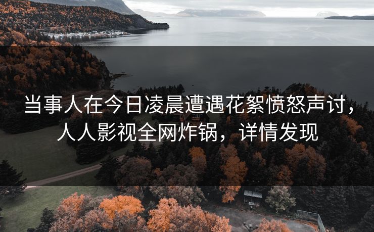 当事人在今日凌晨遭遇花絮愤怒声讨，人人影视全网炸锅，详情发现